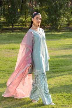 Eid Collection: Embroidered Cambric Farshi Shalwar Kameez with Organza Dupatta