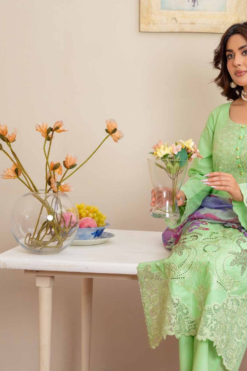 Alternative view of Mint Green Pastel Embroidered Lawn Suit with Floral Accents